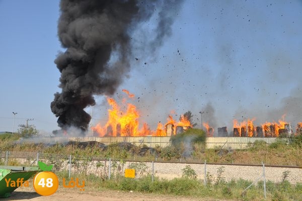 firecartoonsecnd506 (8).JPG